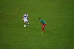 爱游戏体育APP下载-哈兰德绝杀背后的训练与VAR争议，哈兰德生涯