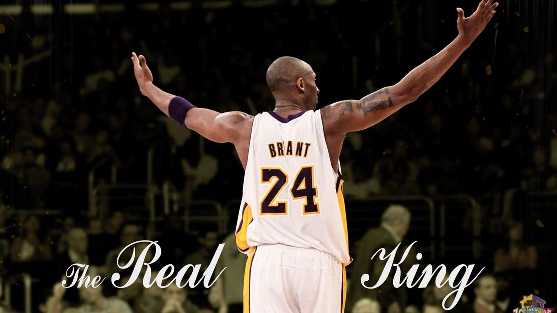 快船惨败，泰伦卢面临下课压力，泰伦卢快船队助教